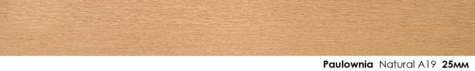 25mm Paulownia Natural A19